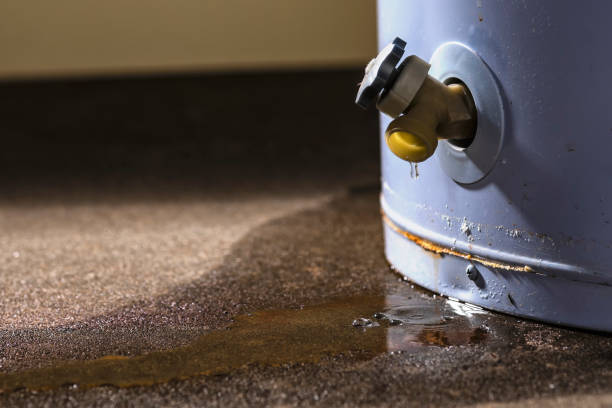 Best Water damage contractors near me  in Sea Bright, NJ
