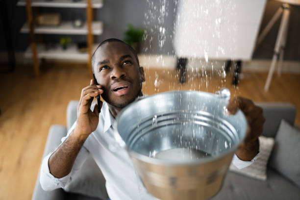 Best Water damage cleanup near me  in Sea Bright, NJ