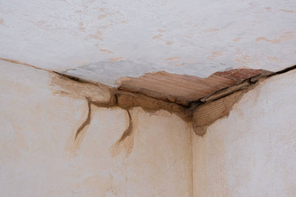 Best Local water damage restoration  in Sea Bright, NJ