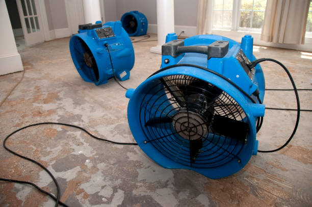 Best Water damage restoration near me  in Sea Bright, NJ