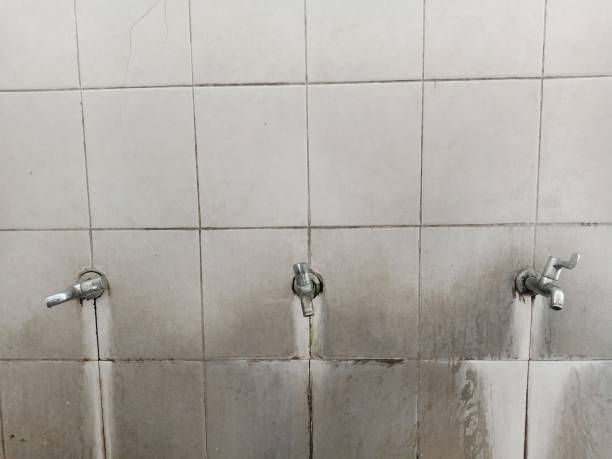 Best Local water damage restoration  in Sea Bright, NJ