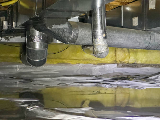 Best Basement water damage restoration  in Sea Bright, NJ