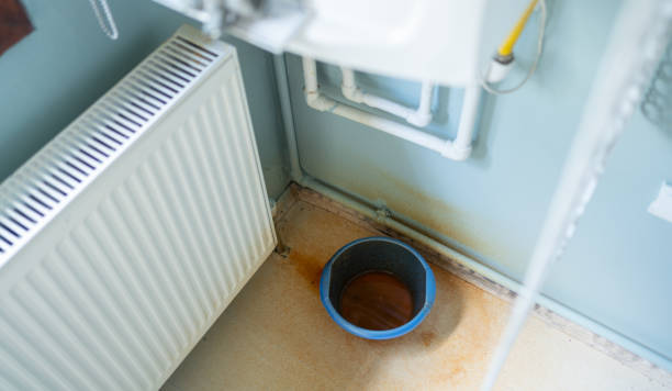 Best Mold removal after water damage  in Sea Bright, NJ