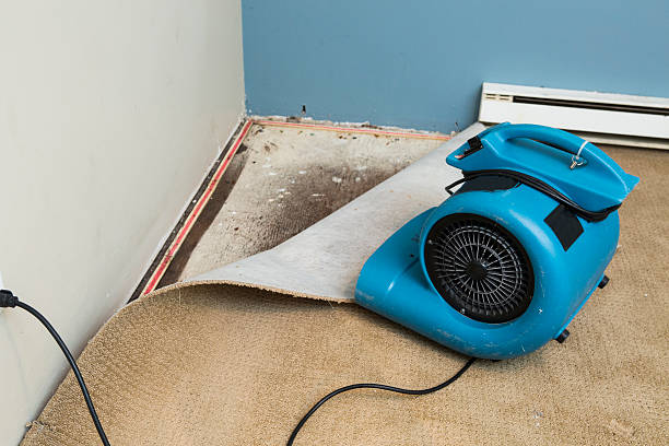 Trusted NJ Water damage restoration Experts